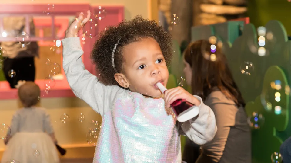 New Year’s Bubble Bash 2026 — official source image