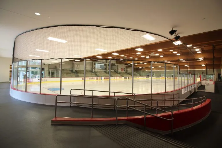 Public Skating at Paul Hruby Ice Arena — Oak Park — venue image