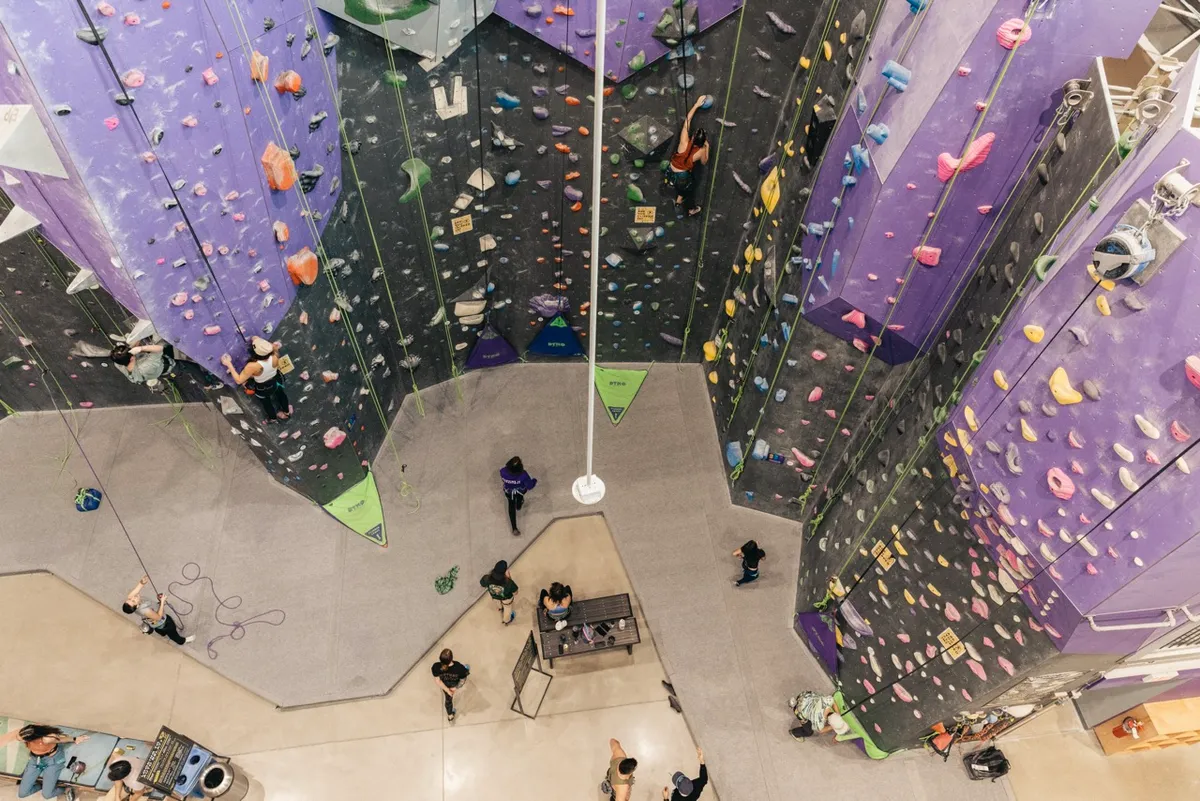 DYNO Detroit Climbing Gym (youth climbing from age 5) — official source image