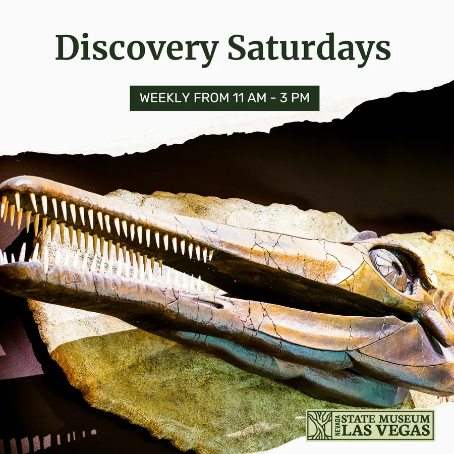 Discovery Saturdays at Nevada State Museum, Las Vegas — program image