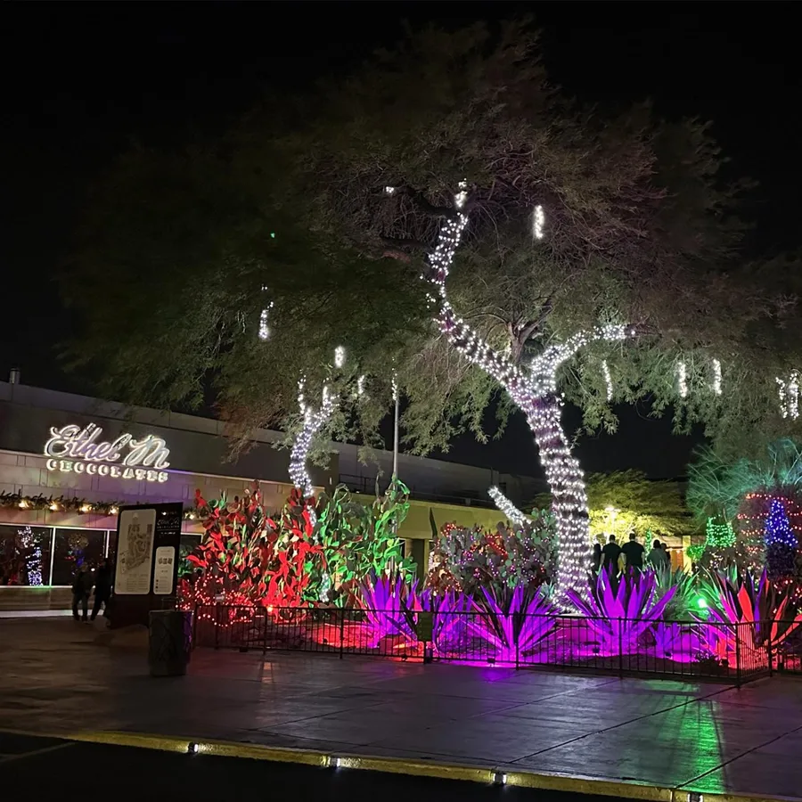Holiday Cactus Garden Lights at Ethel M Chocolates — official source image