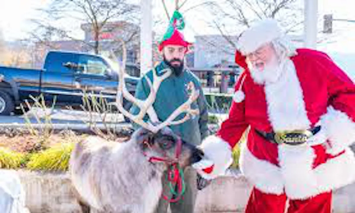 Issaquah Reindeer Festival at Cougar Mountain Zoo — official source image