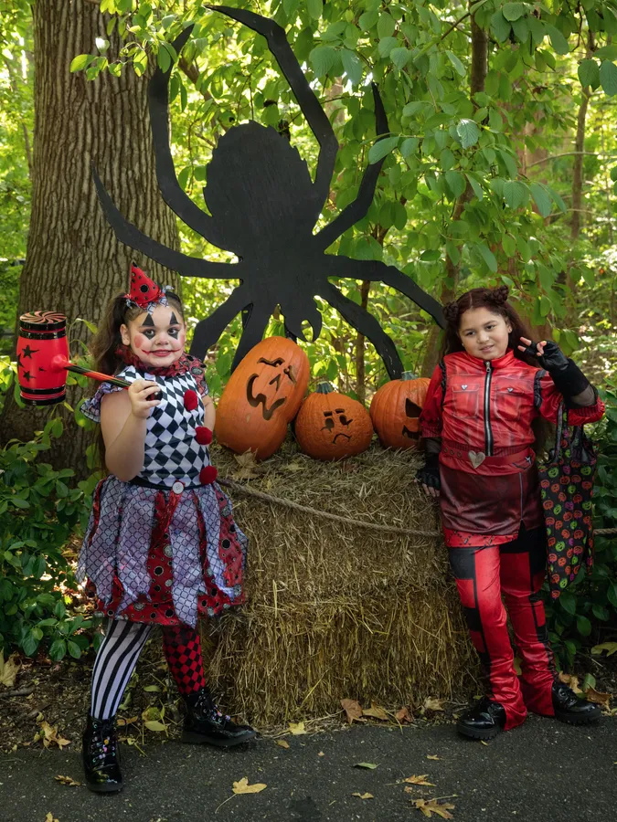 Spooktober at Prospect Park Zoo — official source image