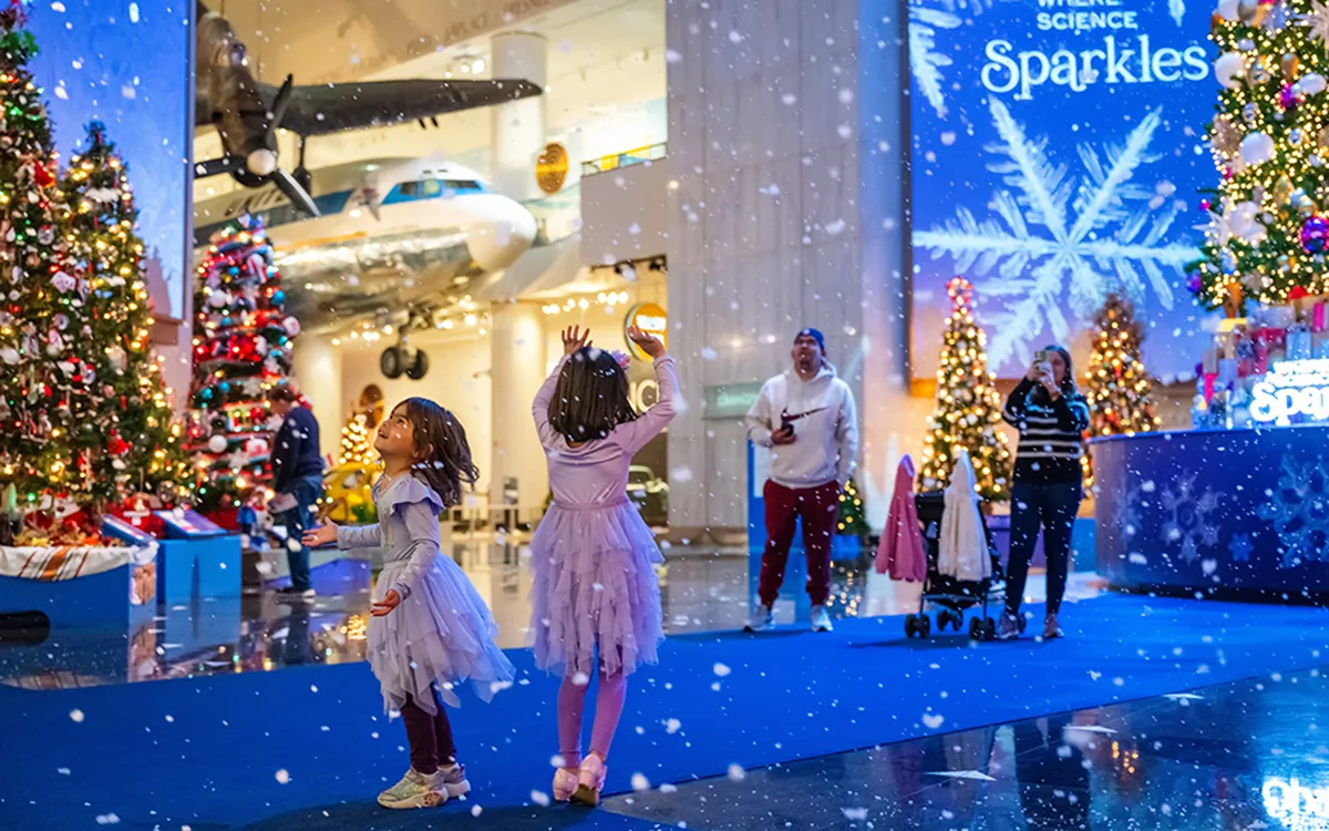 Christmas Around the World and Holidays of Light 2026 — venue image