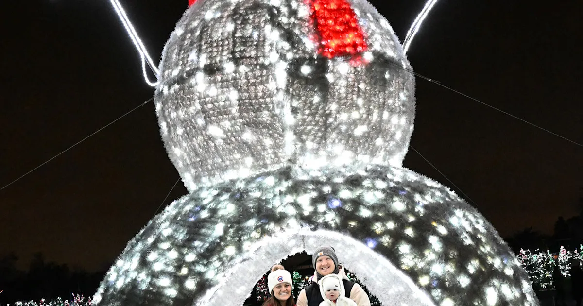 Holiday Magic at Brookfield Zoo Chicago — official source image