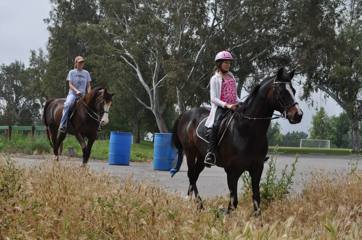 Prado Regional Park — official source image