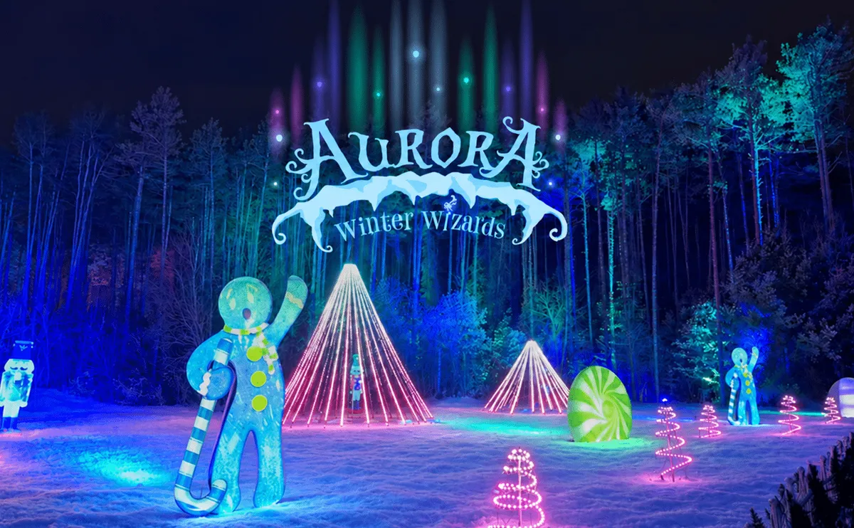 Glenlore Trails: Aurora - Winter Wizards — official source image