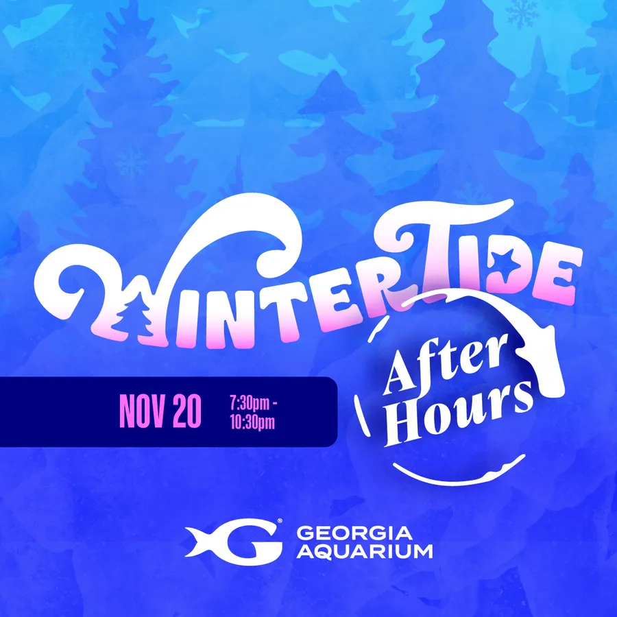 WinterTide After Hours — official source image