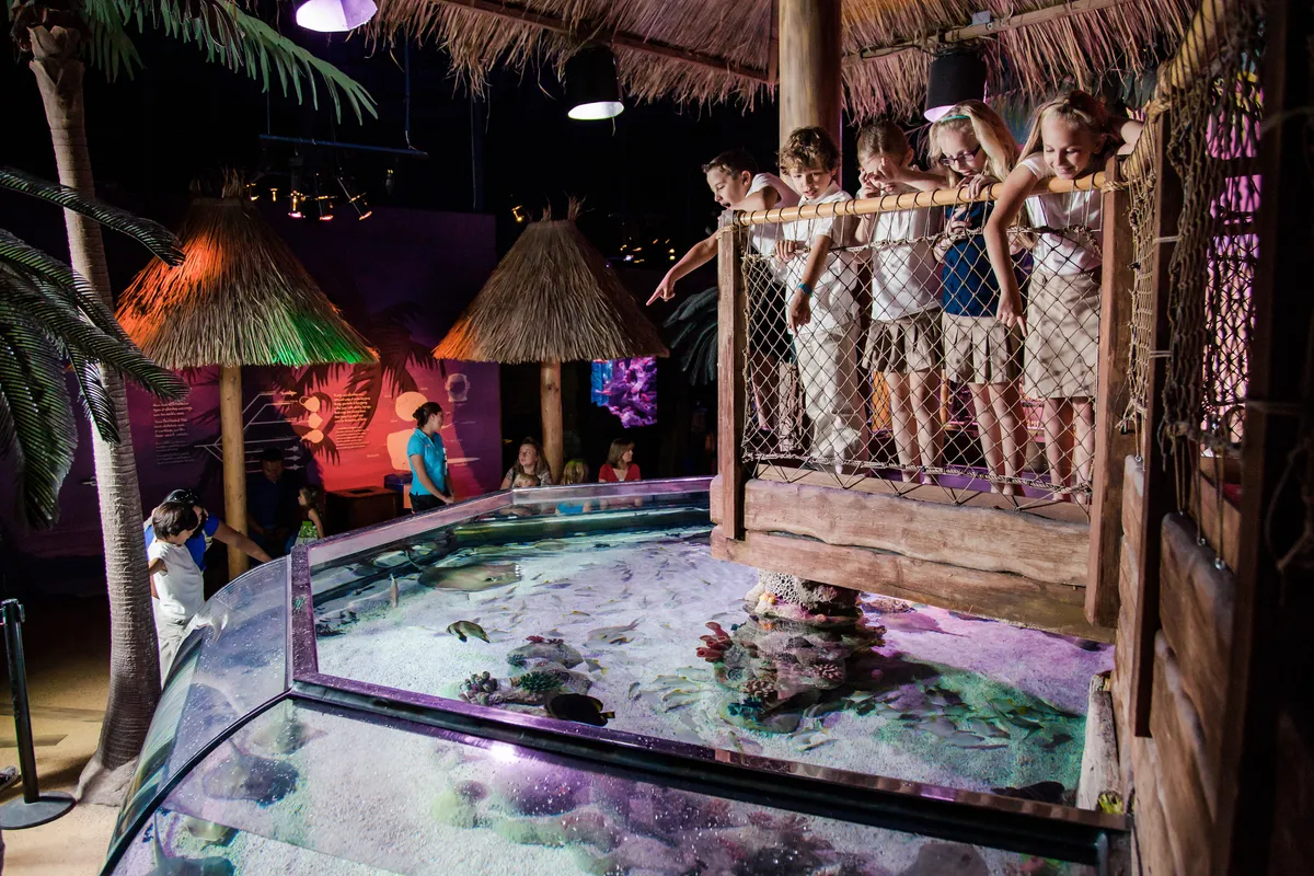 SEA LIFE Homeschool Week 2026 — official source image