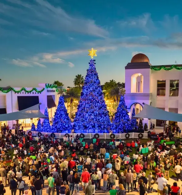 Symphony in Lights Kickoff at The Shops at Wiregrass — official source image