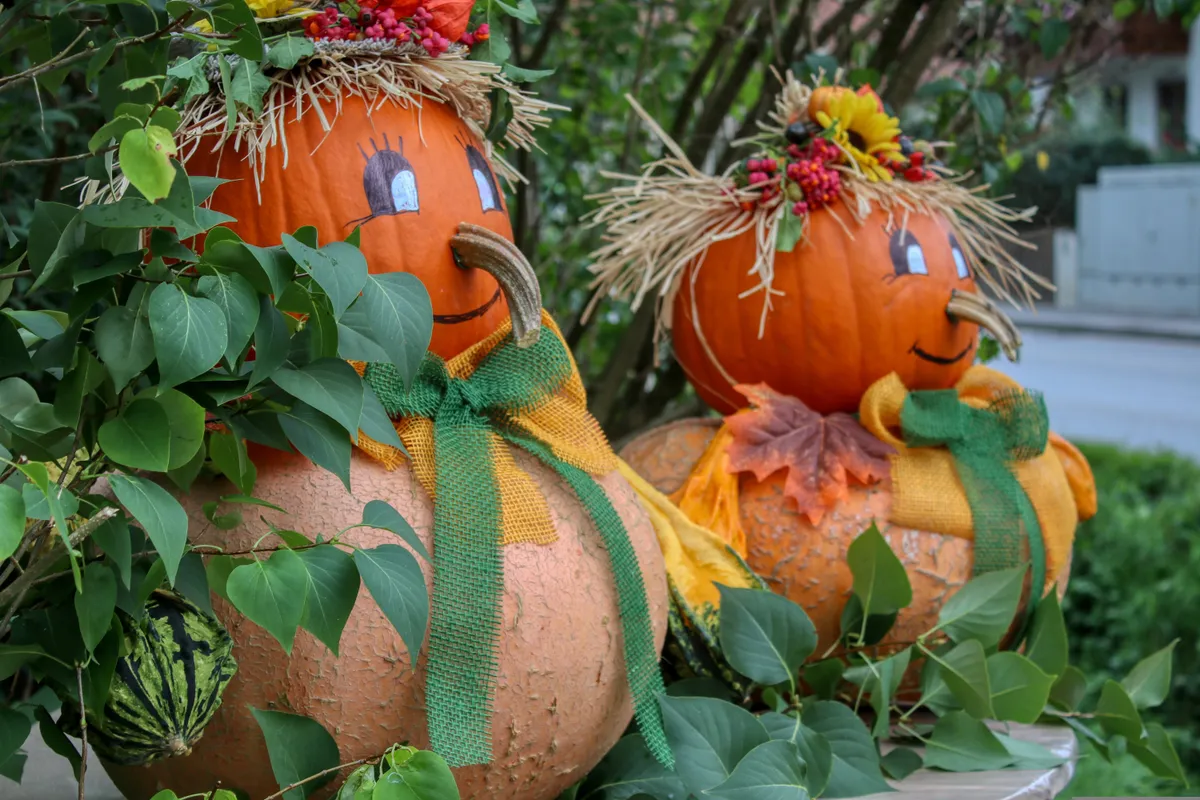 Pumpkin Painting Picnic at Helen Murphy Branch — official source image