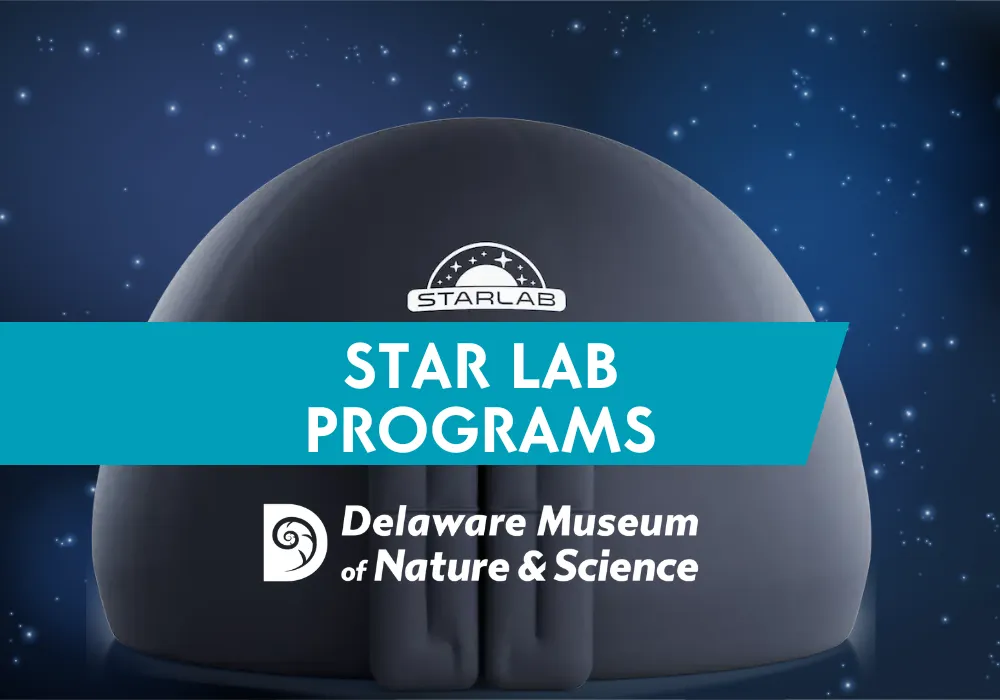 Star Lab: Autumn and Winter Planetarium Series — official source image