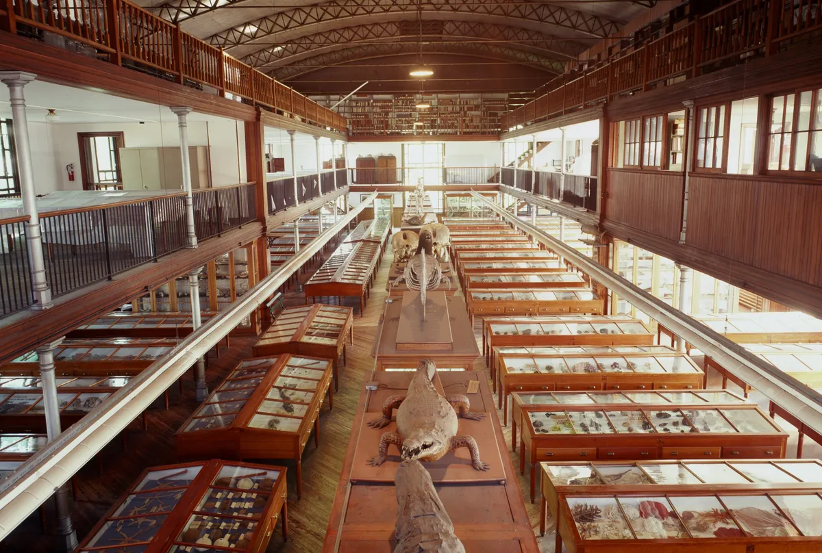 Wagner natural-history scavenger hunts and sketching — official source image