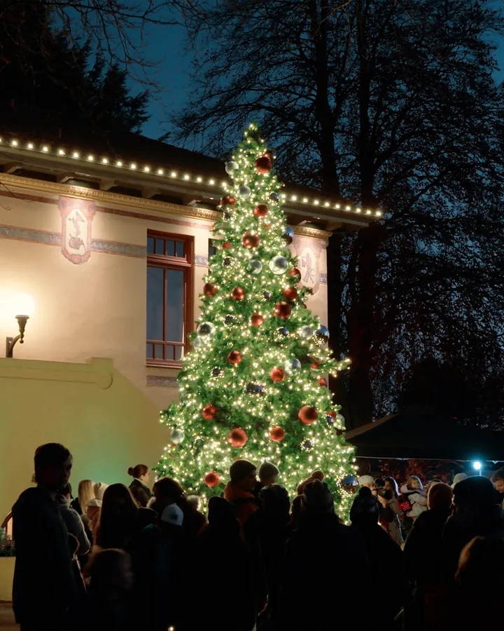 Snohomish Tree Lighting at the Carnegie — official source image
