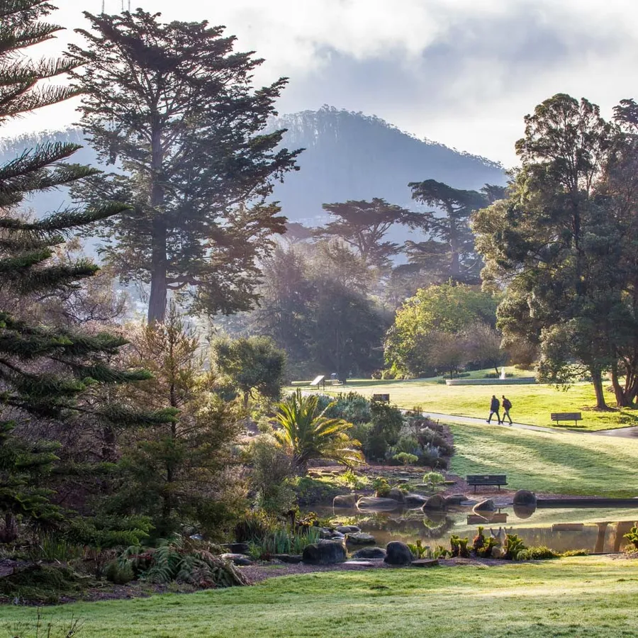 Free Day at the San Francisco Botanical Garden (second Tuesday) — program image