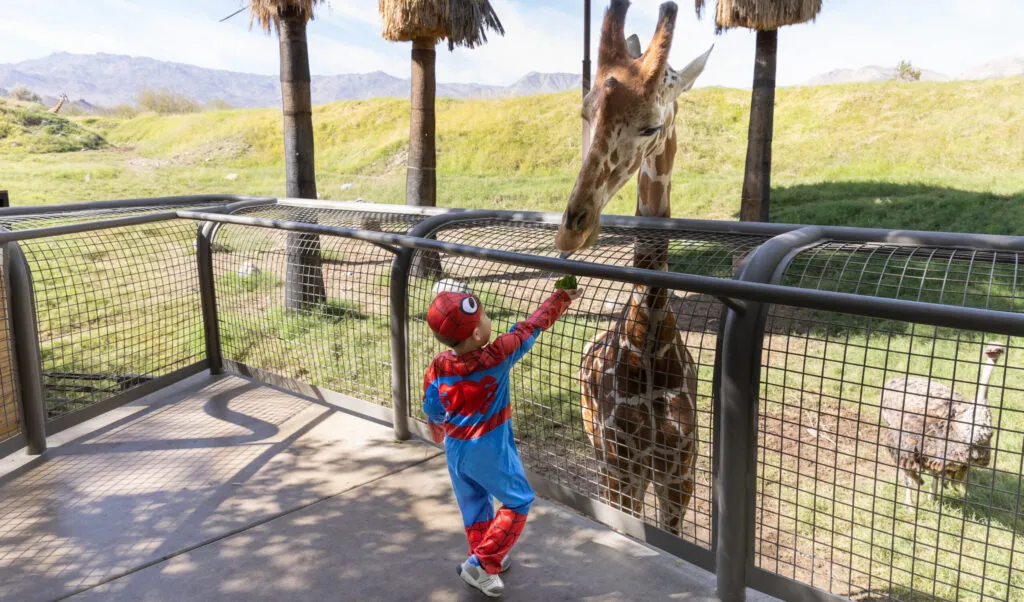 Howl-O-Ween at The Living Desert — venue image