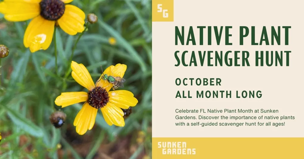 Florida Native Plant Month Scavenger Hunt at Sunken Gardens — official source image