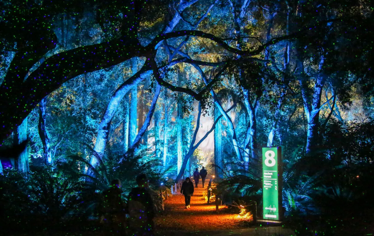 Enchanted: Forest of Light at Descanso Gardens — official source image
