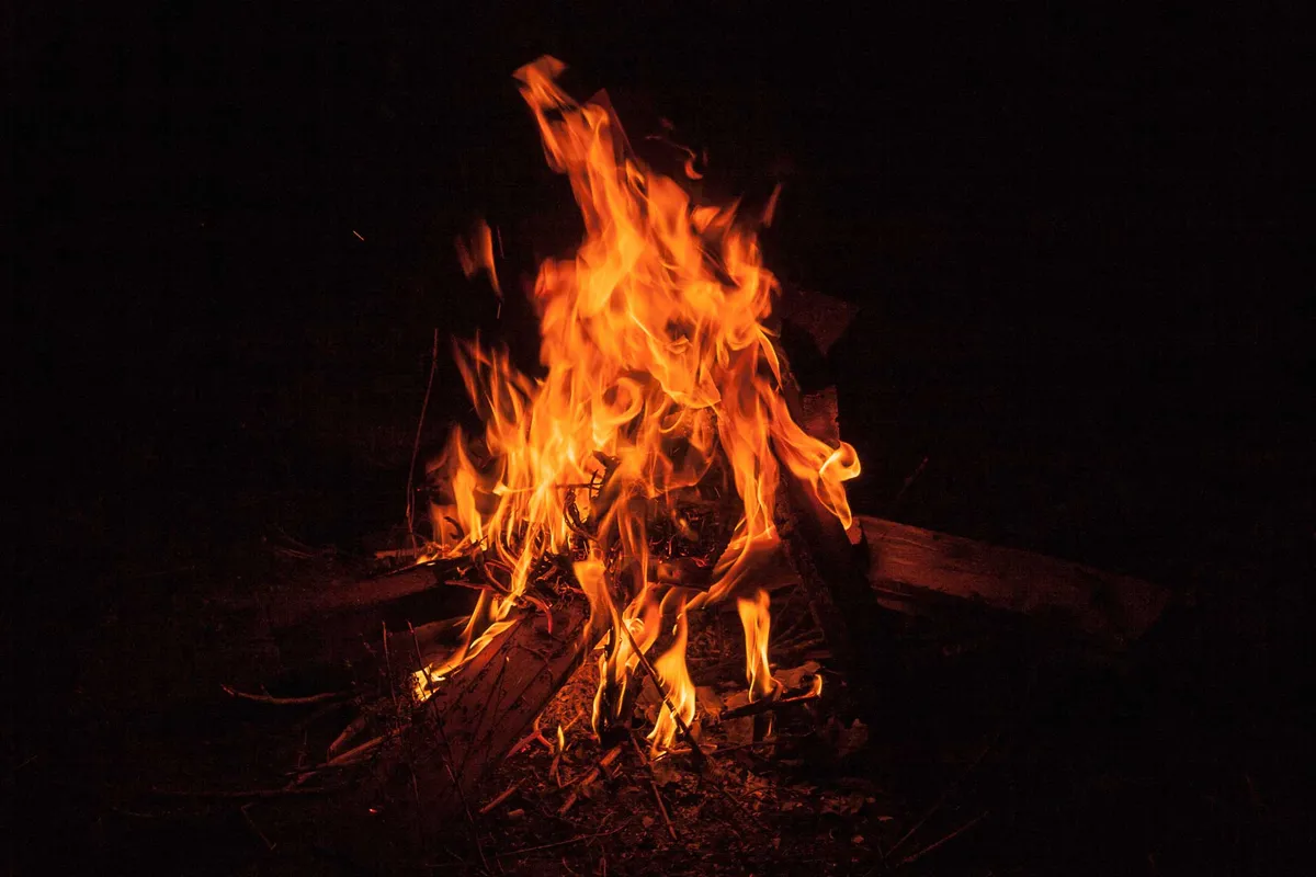 Winter Solstice in the Woods at Hickory Creek — official source image