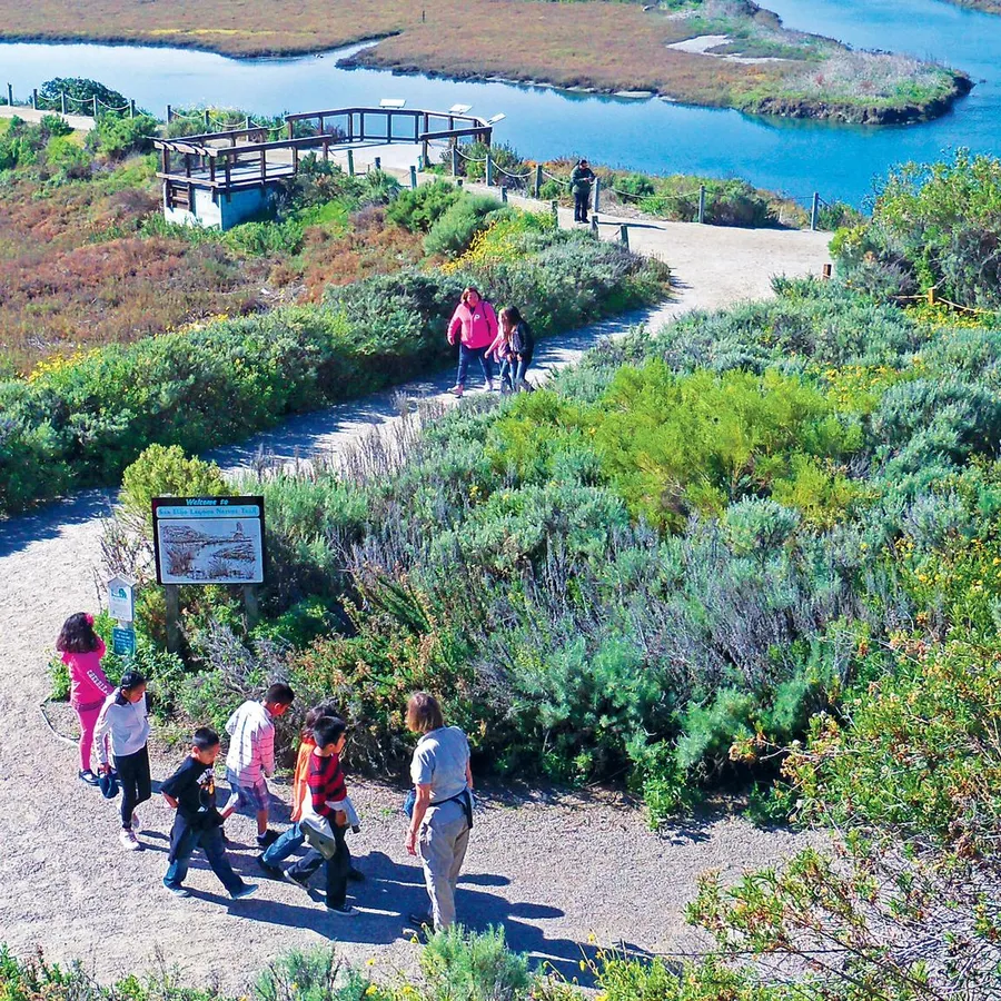 Sunday Family Fun Day at San Elijo Lagoon Nature Center — official source image