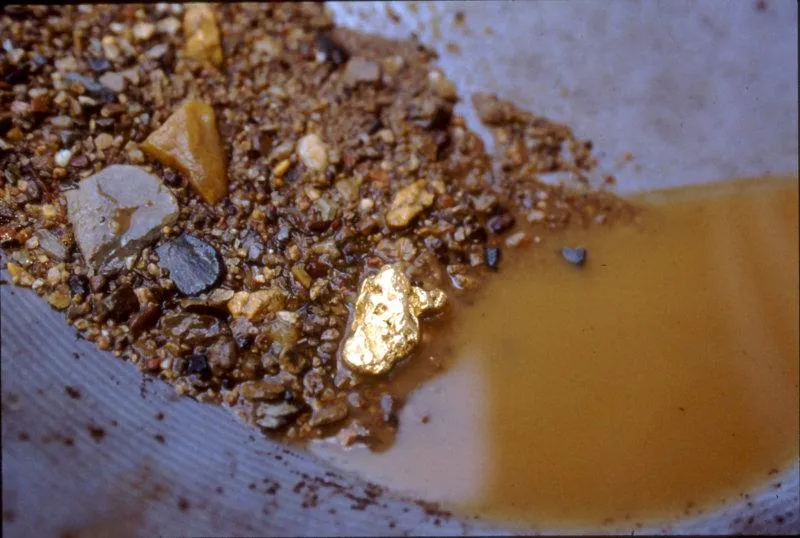 Homeschool Day at Reed Gold Mine — venue image