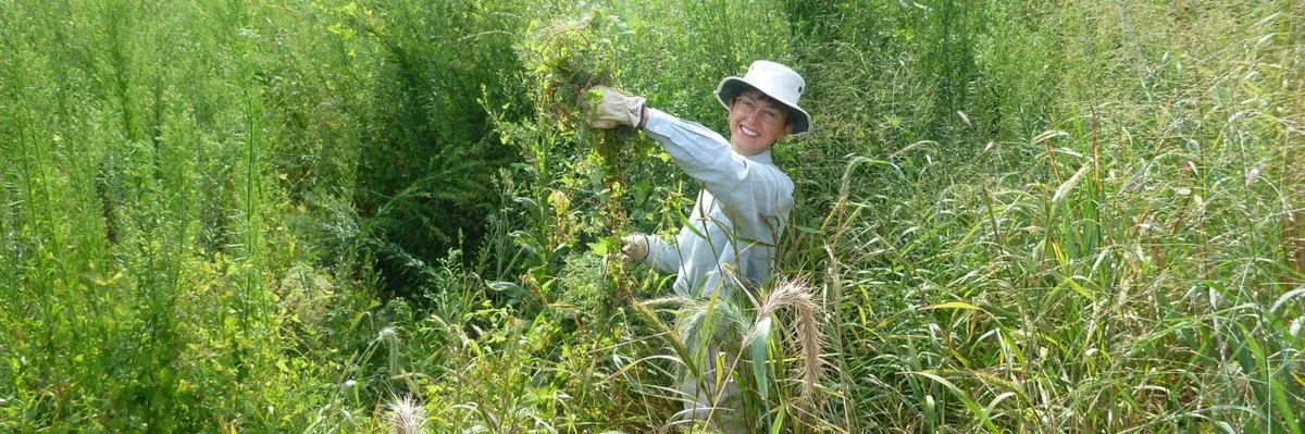 Valley Talk – Into the Weeds: Foraging for Invasive Plants in Pennsylvania with Tama Matsuoka Wong, presented by Univest Finanical — official source image