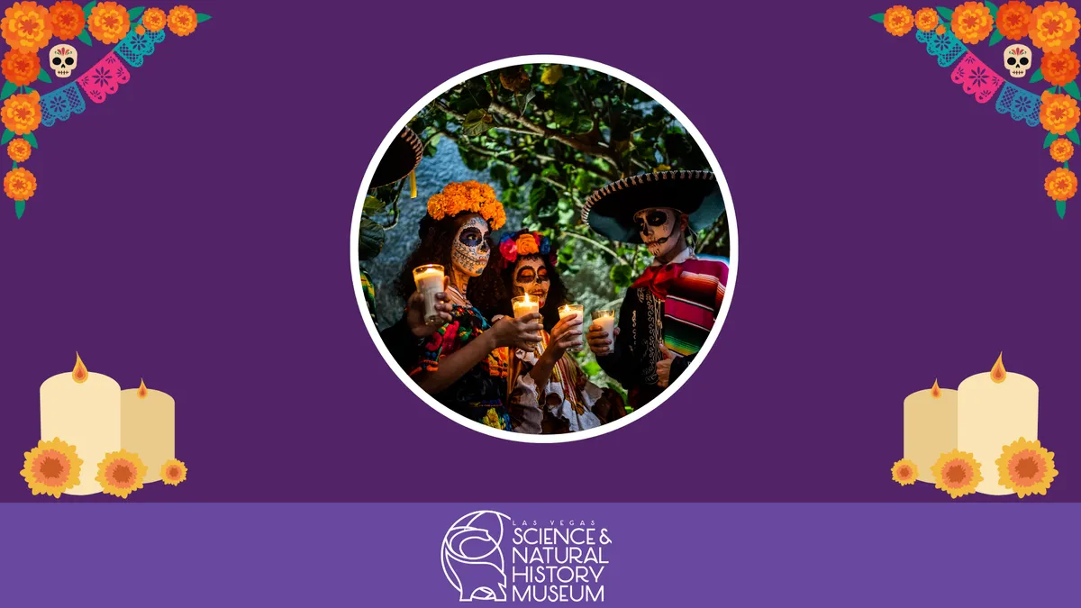 Early Explorers: Día de los Muertos Storytime — official source image