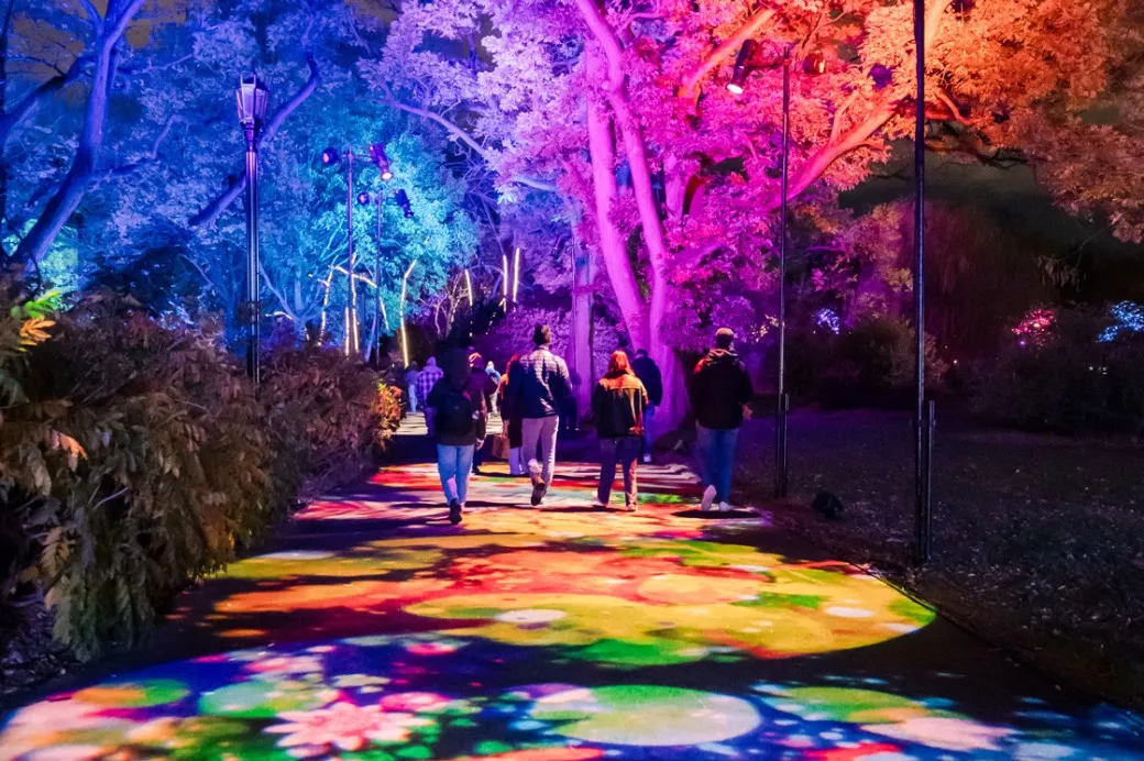 Lightscape at Brooklyn Botanic Garden — official source image
