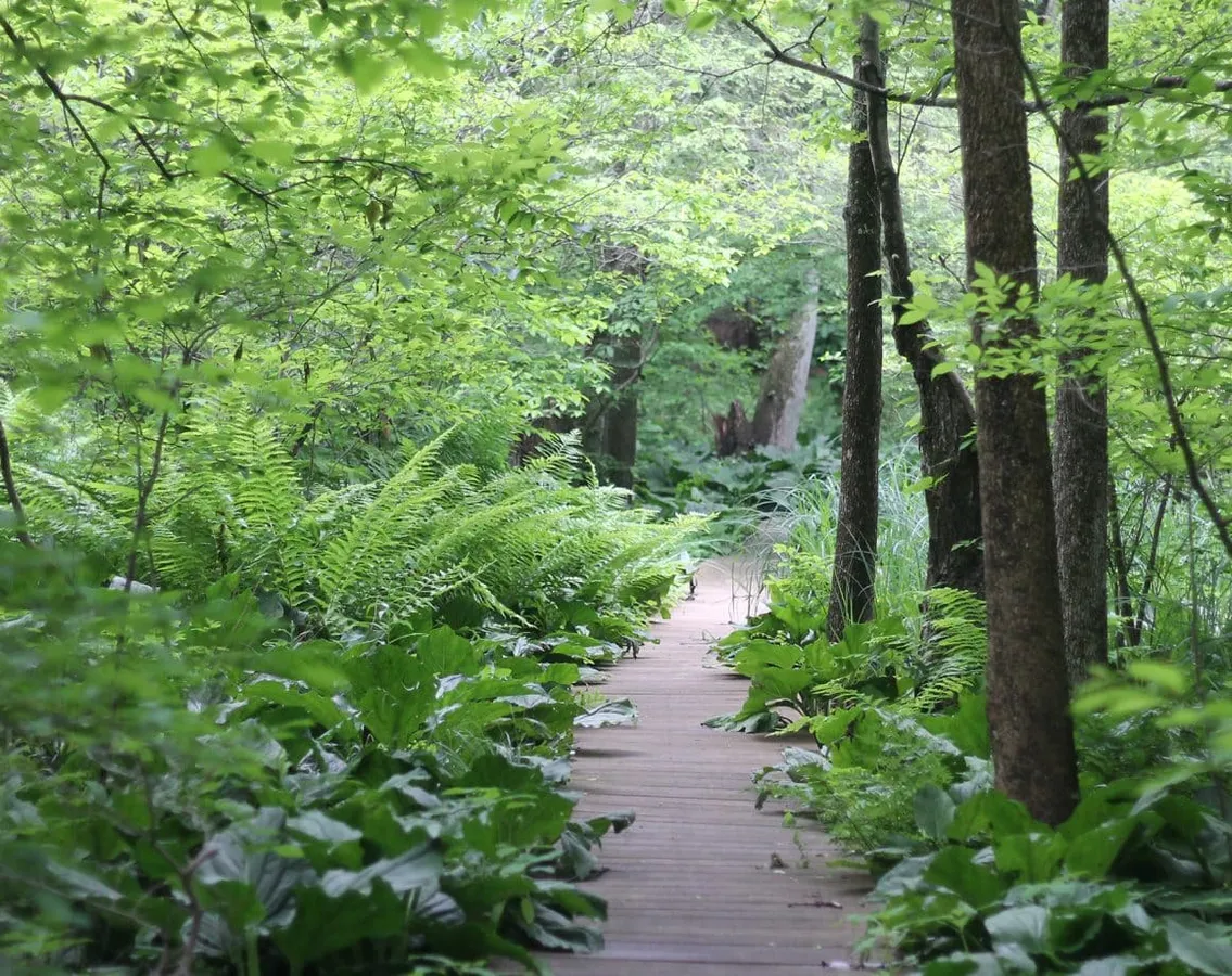 Hit the Trails: Daylight Savings Hike (for everyone ages 8+) — official source image