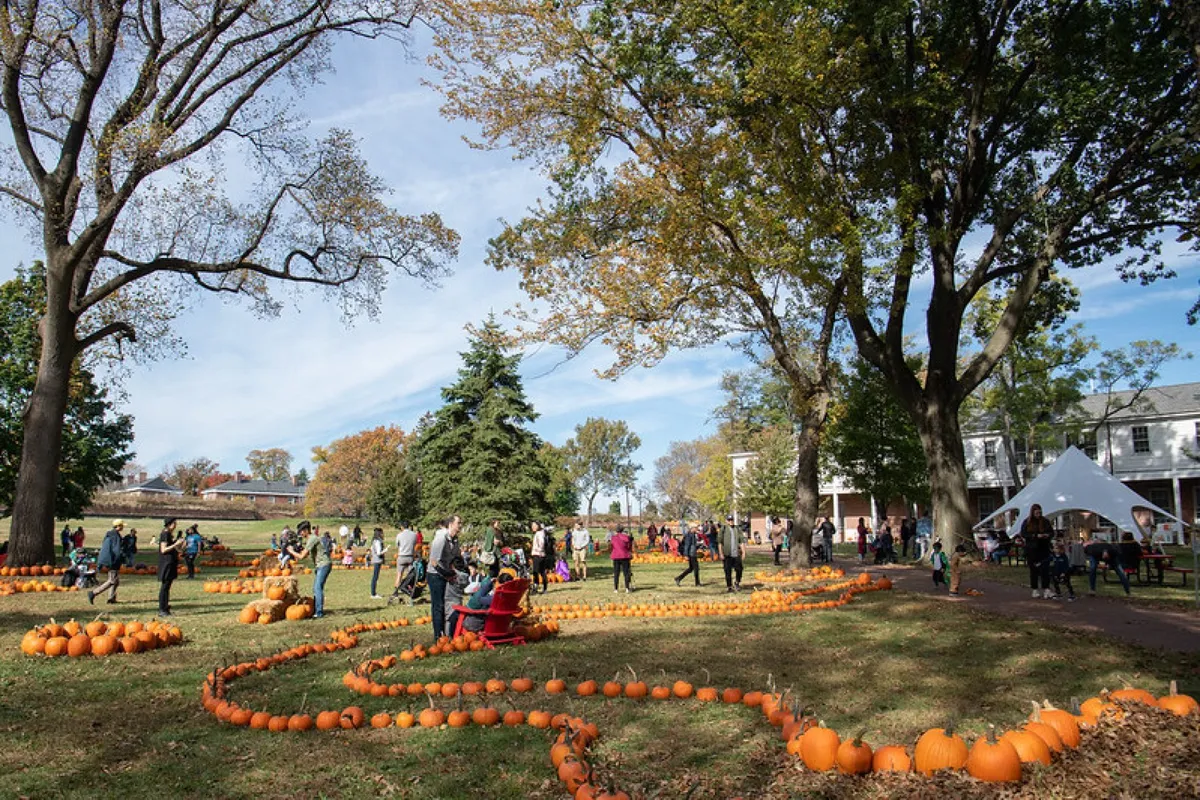 Pumpkin Point 2026 — Governors Island Pumpkin Patch and Fall Festival — official source image