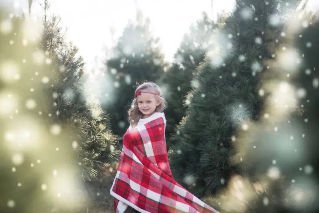 Cut-your-own Christmas trees at Eckert's Belleville Farm — program image