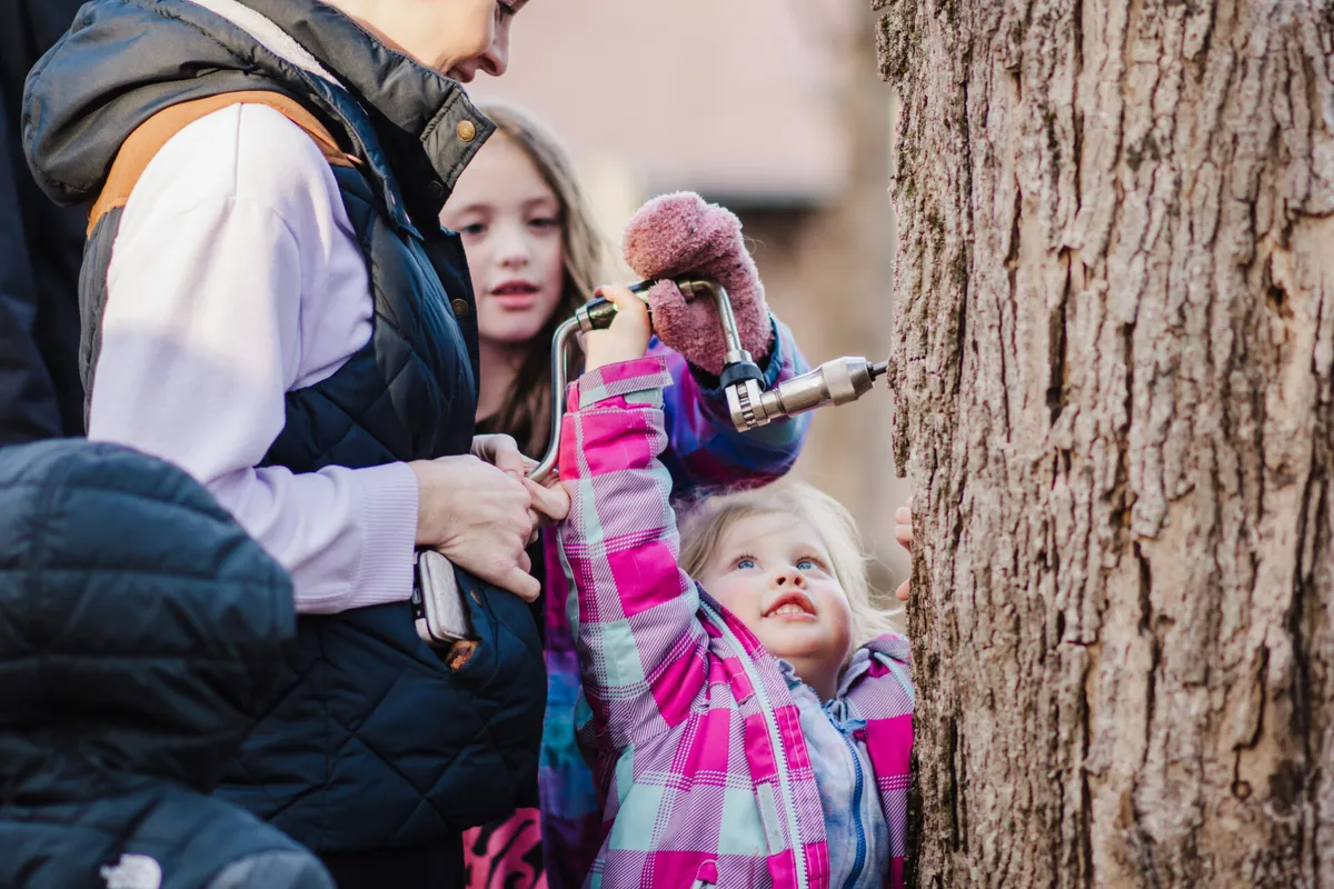 Maple Sugaring Behind the Scenes at Moose Hill — official source image