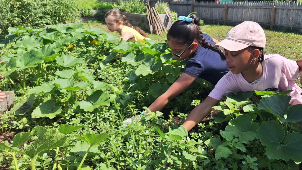 Grow & Gather Family Gardening — Queens County Farm Museum — official source image