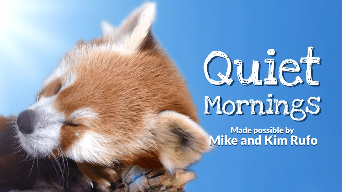 Quiet Mornings — sensory-friendly zoo visits at Elmwood Park Zoo — official source image