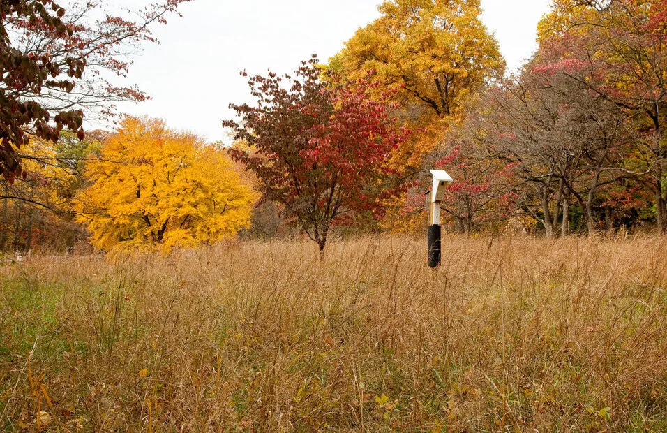 A Hike Through the Leaves: Autumn Nature Walk — Fort Washington State Park — official source image