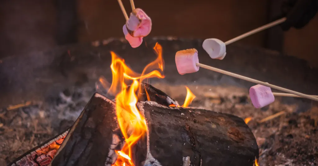 Winter Solstice Bonfire at Dodge Nature Center — official source image