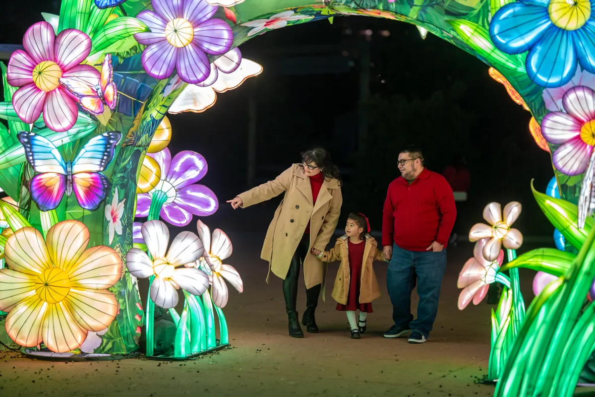 Zoo Lights at the Houston Zoo — official source image
