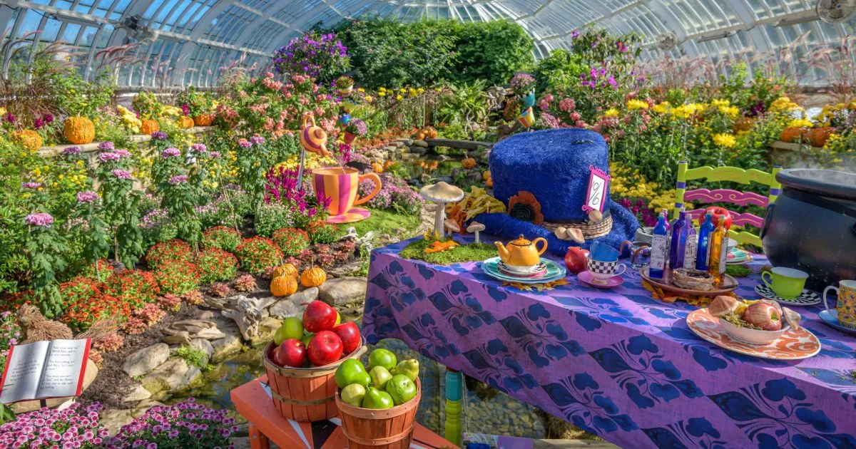 Sensory Inclusive Time at Phipps Fall Flower Show — official source image