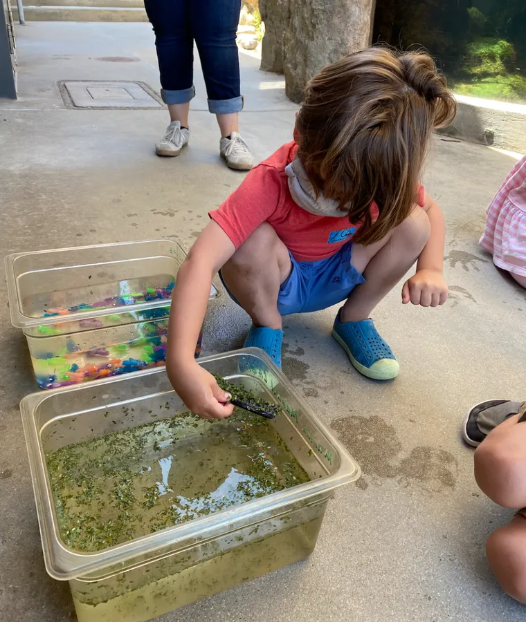 Homeschool Day at Ocean Institute (December) — official source image