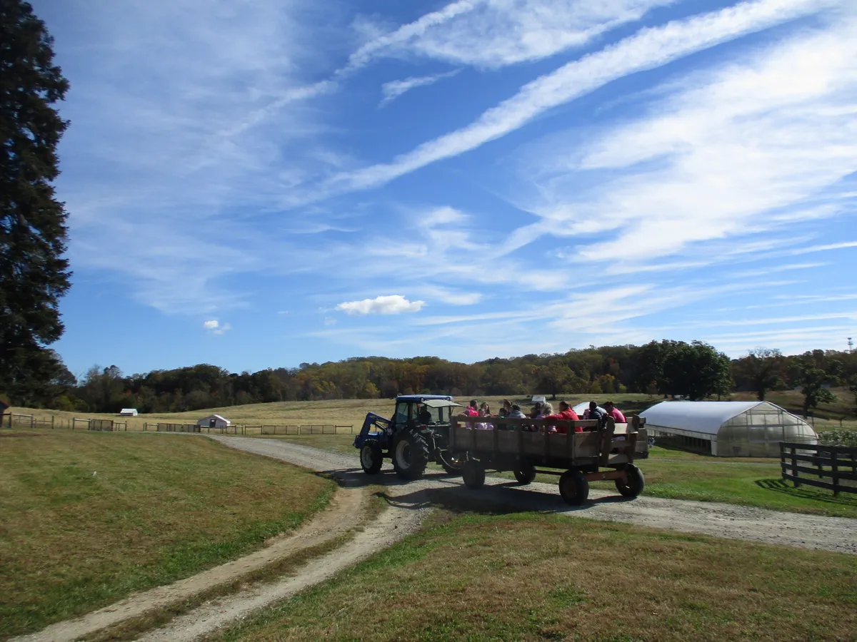 Knee High Naturalists: Fall on the Farm — venue image