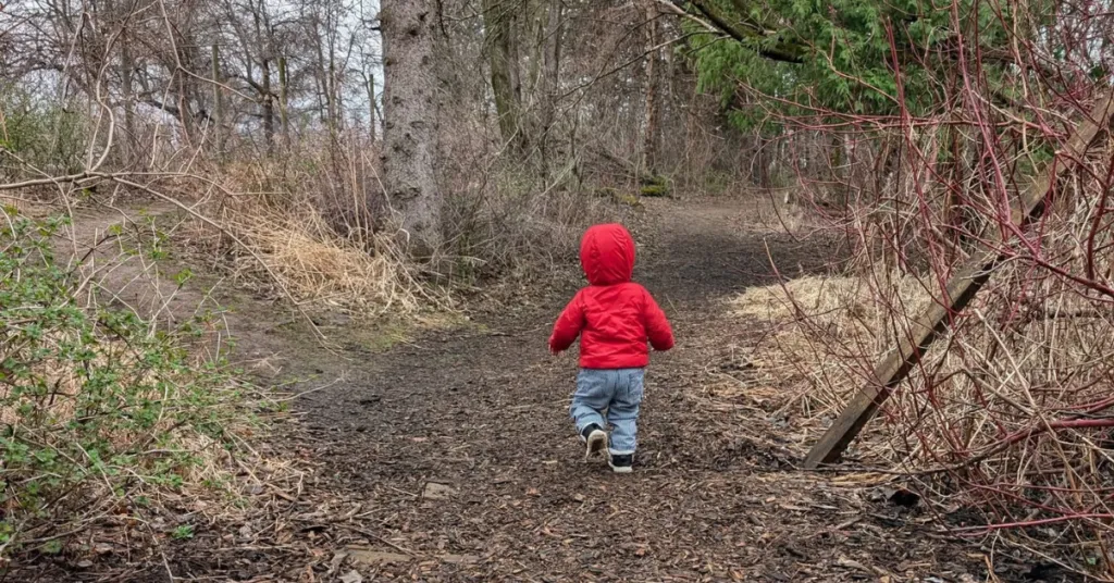 Nature Tots (Friday Morning Series) — official source image
