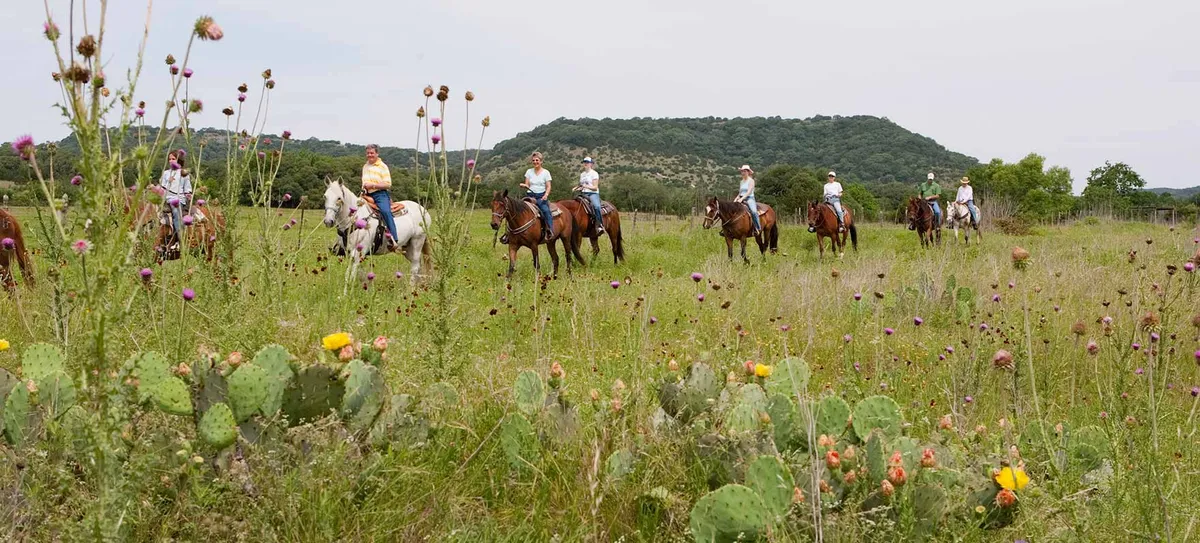 Hill Country State Natural Area — official source image