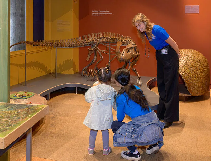 Discovery Room — American Museum of Natural History — program image