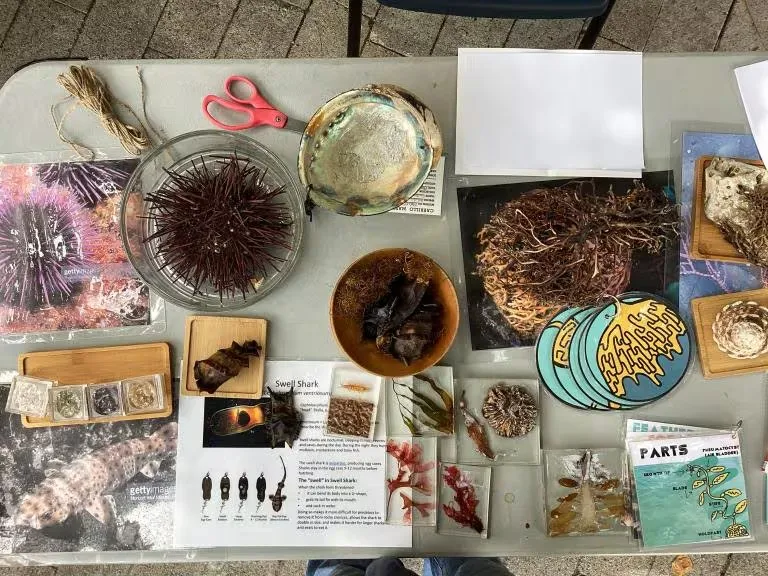 Nature Journaling at Cabrillo Marine Aquarium — official source image