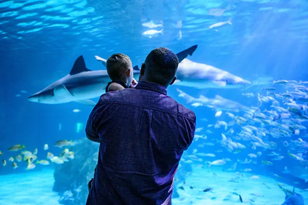 Adventure Aquarium Family Visit — venue image