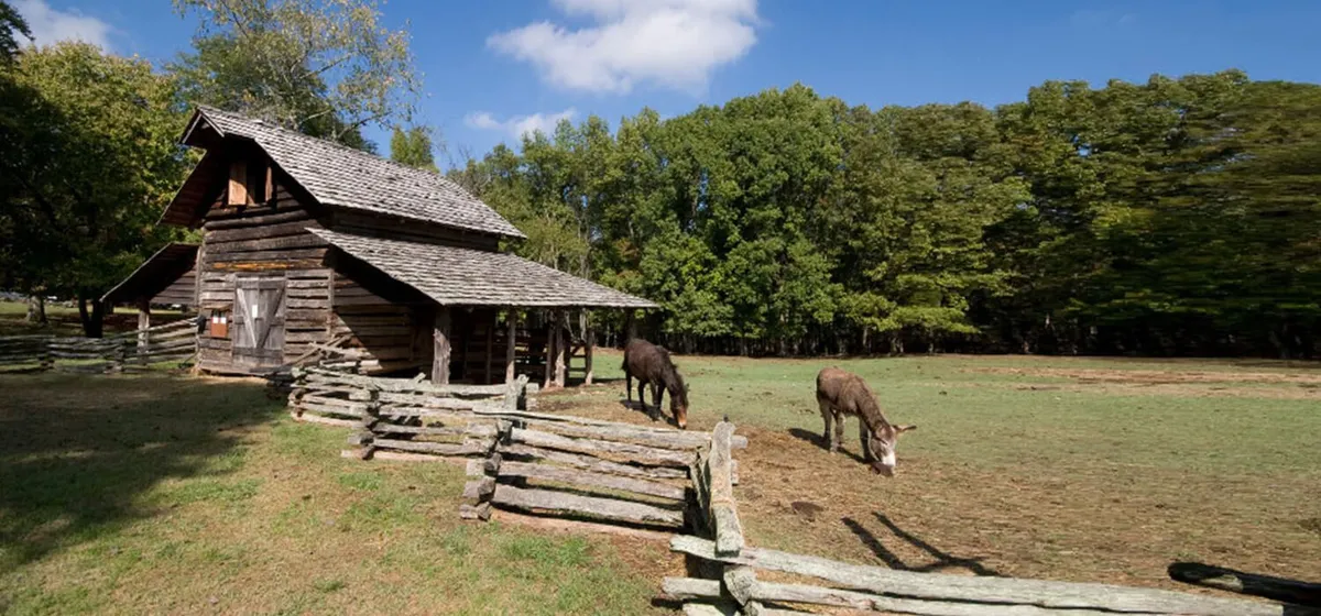 Kings Mountain State Park — official source image