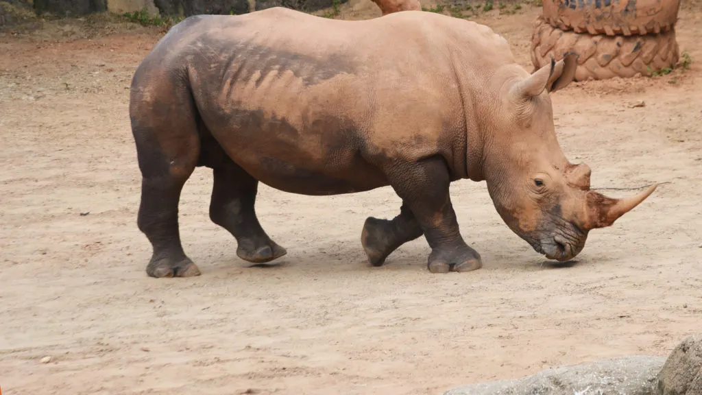 The Maryland Zoo in Baltimore — official source image