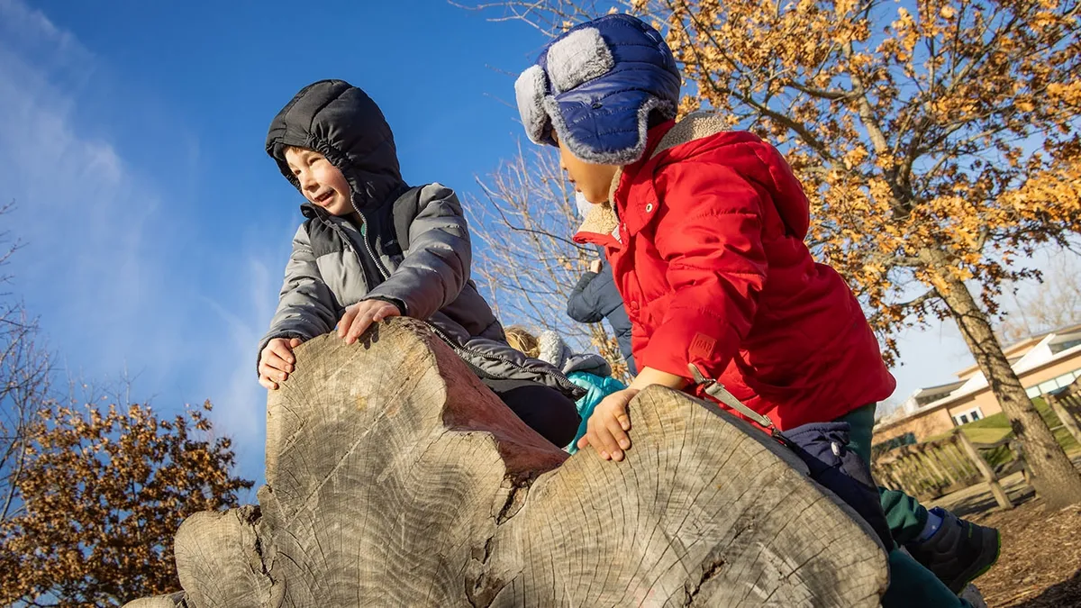 School Day Off Camp at Chicago Botanic Garden — Festive Fall — official source image