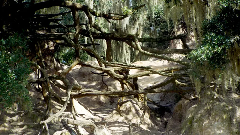 Edward Medard Conservation Park — official source image