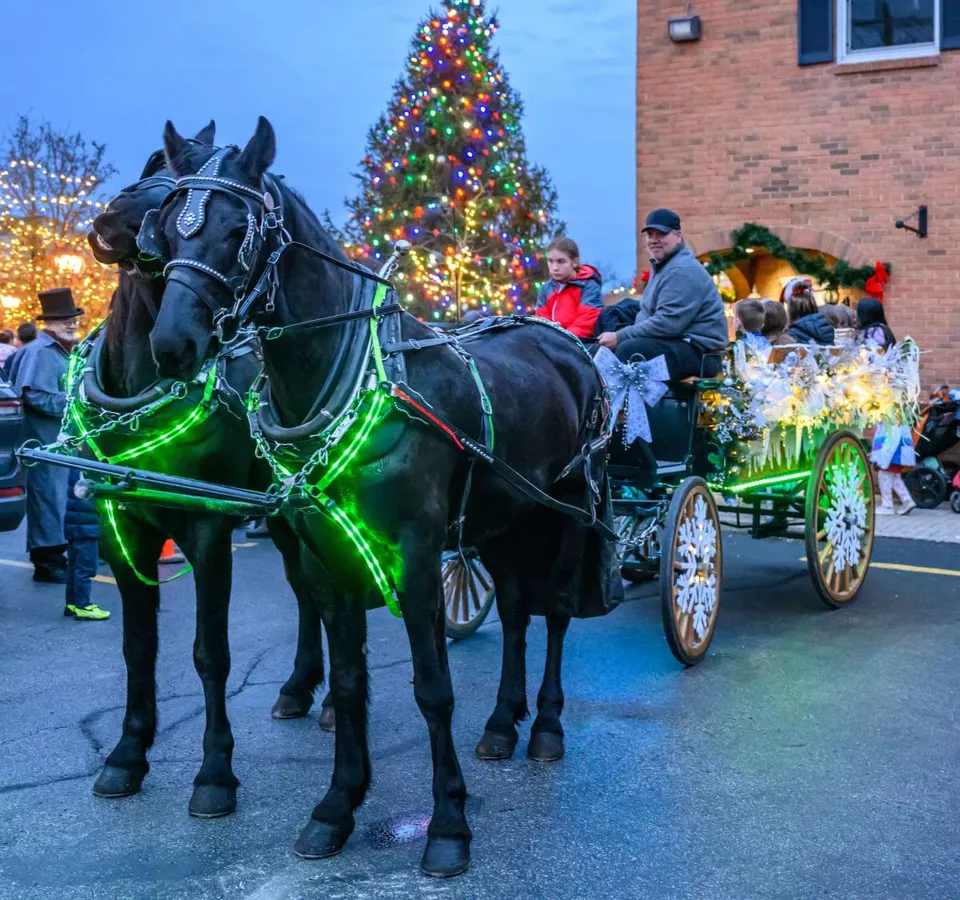Holiday in the Village (Montgomery Tree Lighting) — official source image